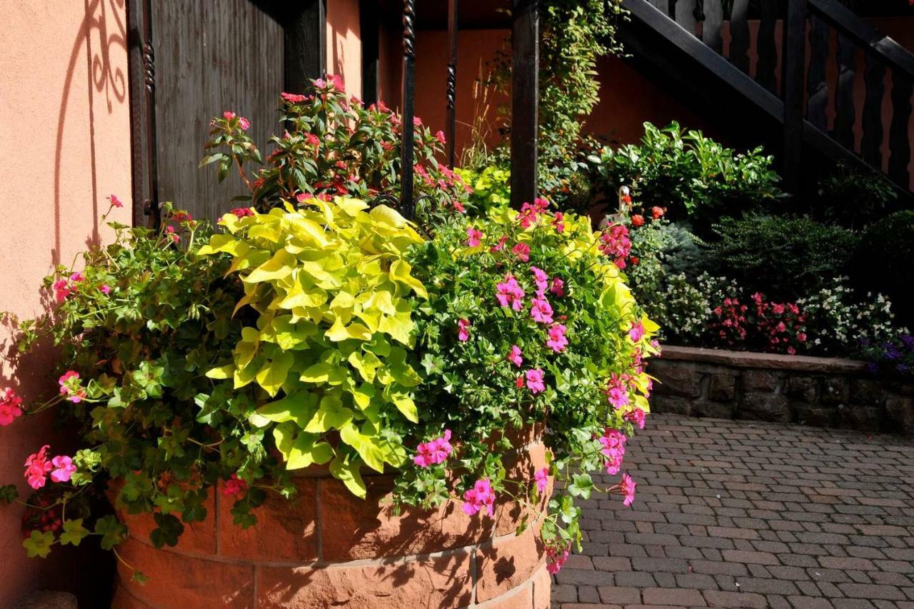 Gite Weyer Numero 2 Bergheim Exterior photo